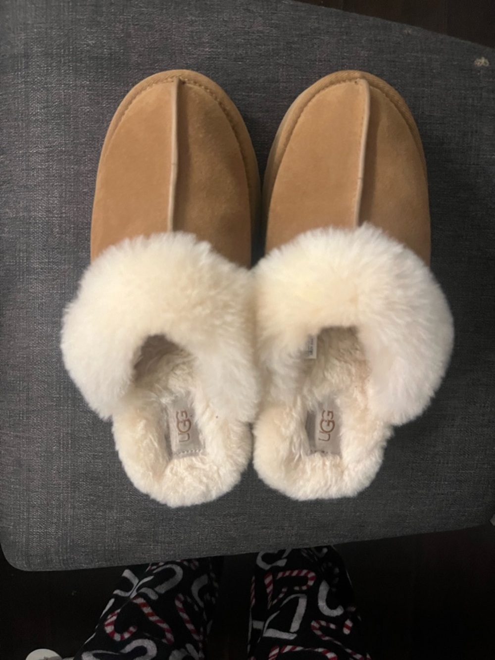 UGG disquette slippers